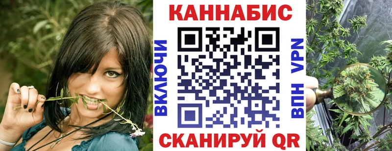 Бошки Шишки тримм Эртиль